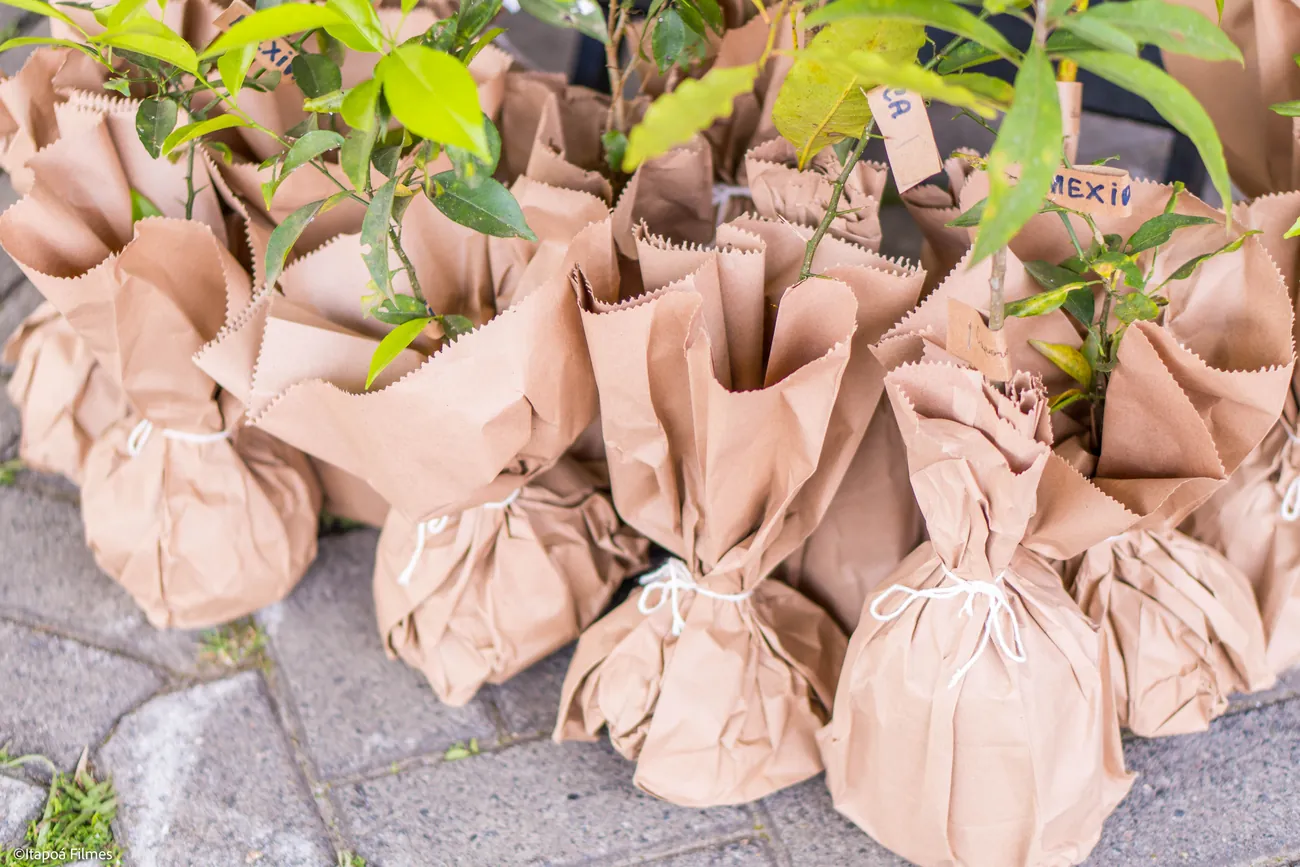 Ação ambiental no festival